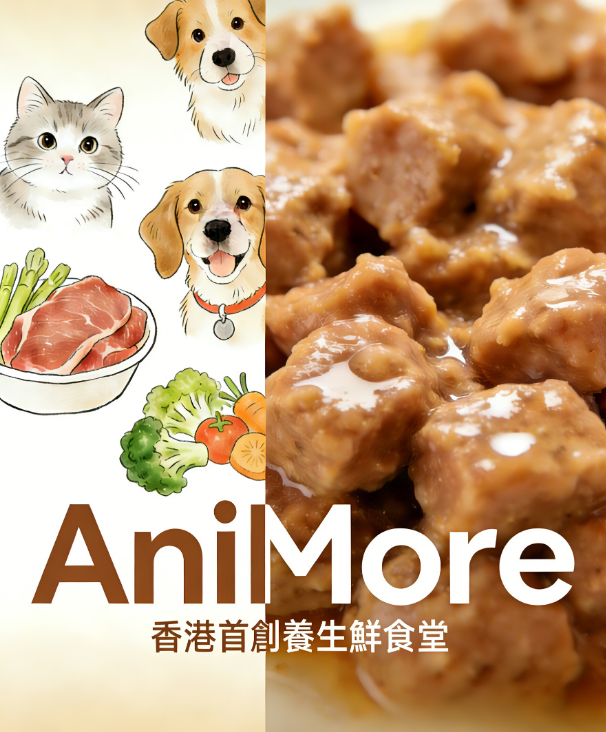 螢幕擷取畫面 2026-02-20 003259